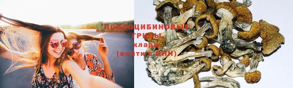 спиды Алексин