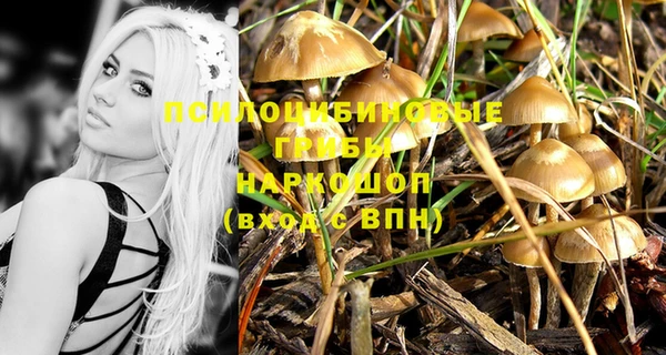 спиды Алексин