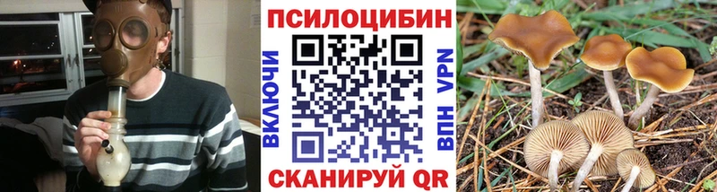 Галлюциногенные грибы прущие грибы  omg онион  мориарти формула  купить наркоту  Дыгулыбгей 